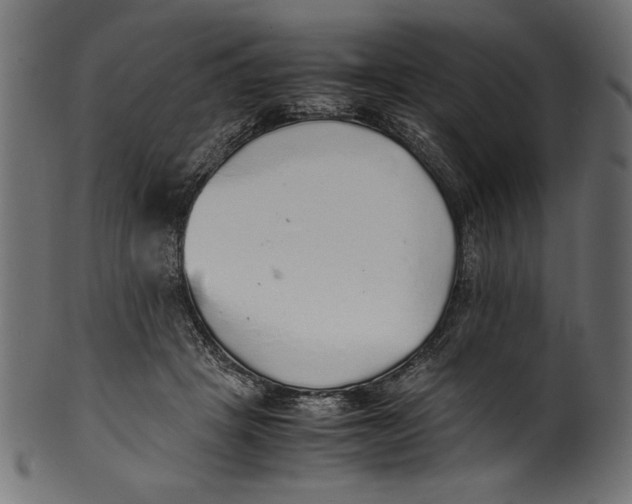 X0000100850457200807181100