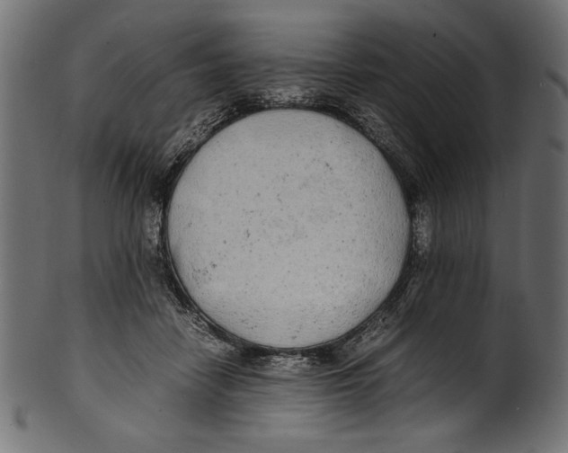X0000100850458200807181100
