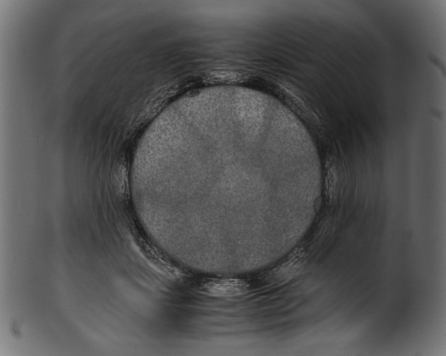 X0000100850459200807181100