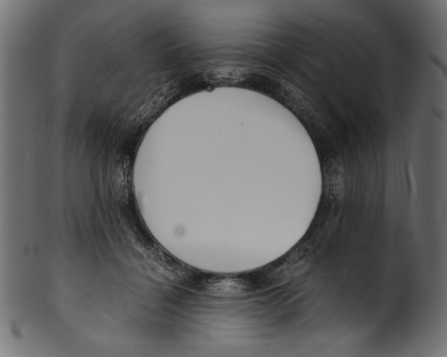 X0000100850460200807181100