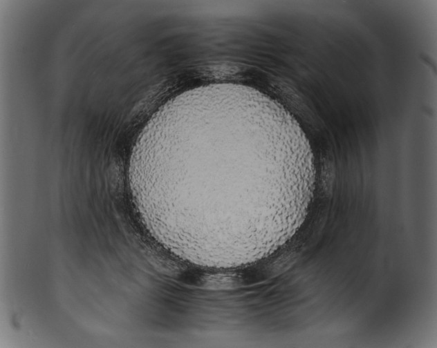 X0000100850461200807181100