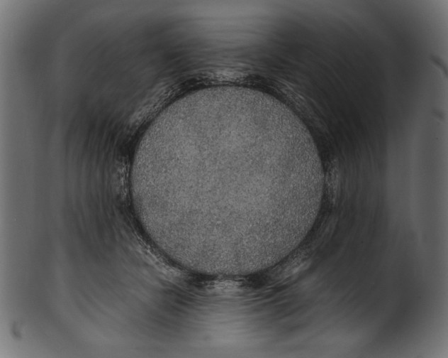 X0000100850462200807181100