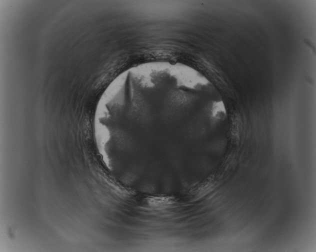 X0000100850465200807181100