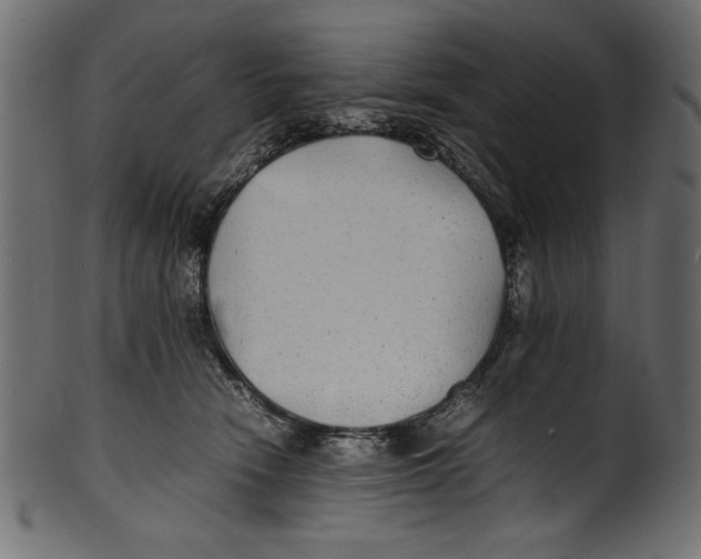 X0000100850466200807181100