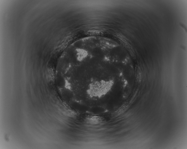 X0000100850467200807181100