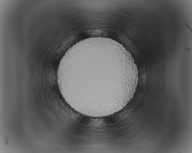 X0000100850469200807181100