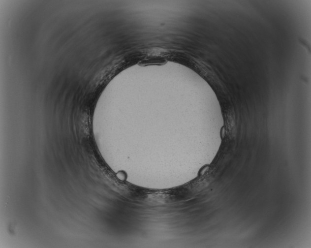 X0000100850470200807181100