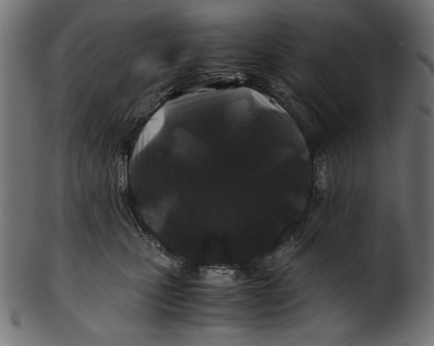 X0000100850471200807181100