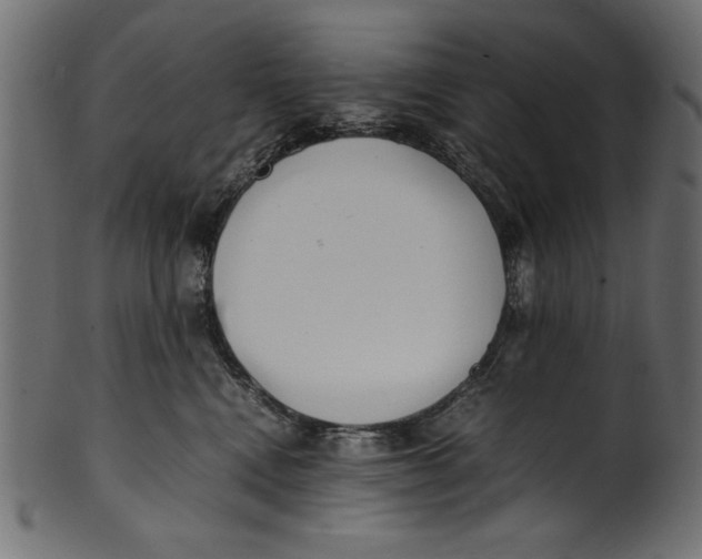 X0000100850472200807181100