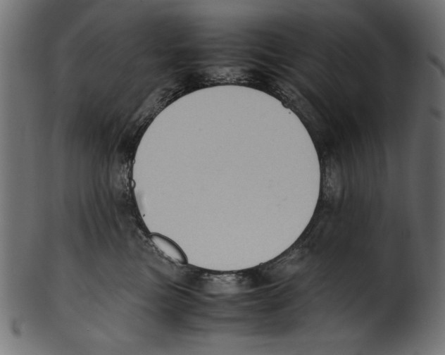 X0000100850473200807181100