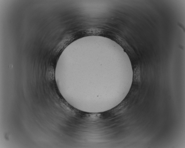 X0000100850474200807181100