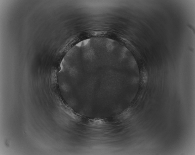 X0000100850475200807181100