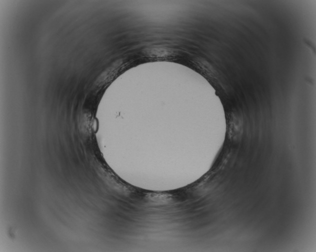 X0000100850476200807181100
