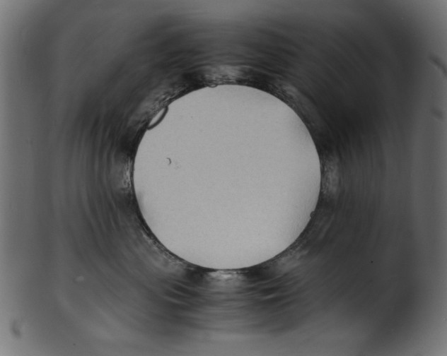 X0000100850477200807181100