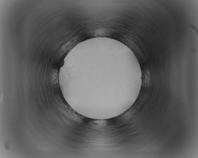 X0000100850478200807181100