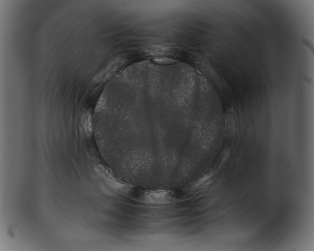 X0000100850479200807181100