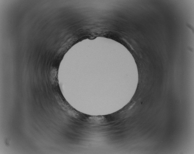 X0000100850480200807181100