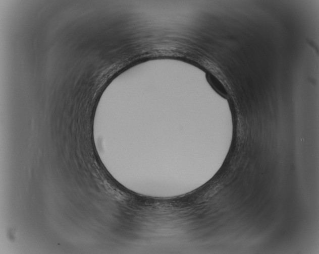 X0000100850481200807181100