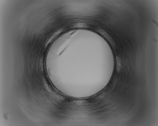 X0000100850482200807181100