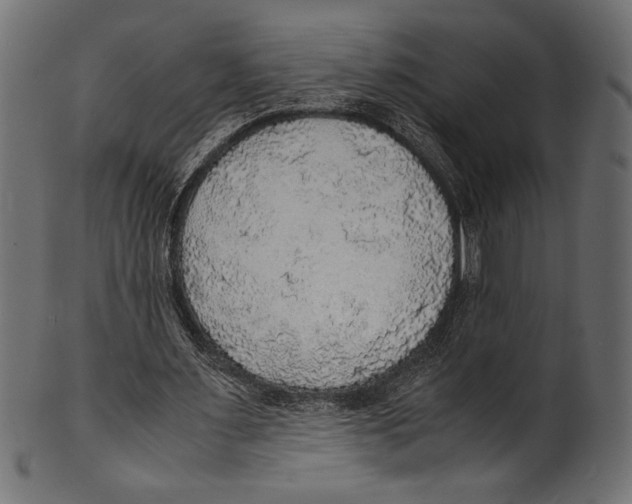 X0000100850483200807181100