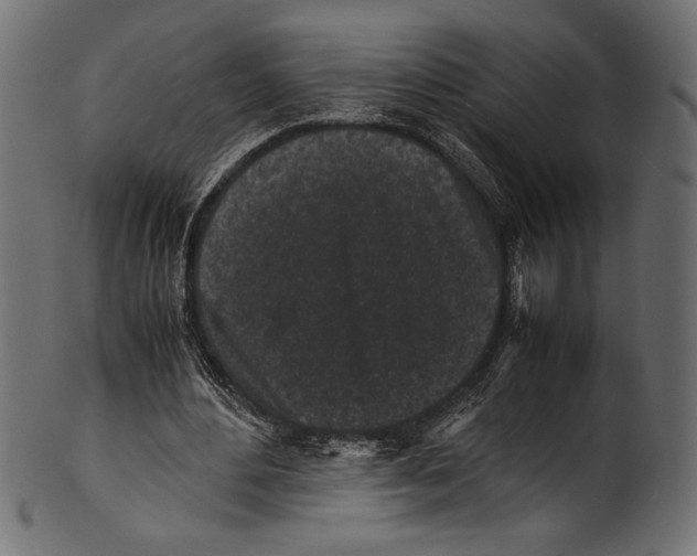 X0000100850484200807181100