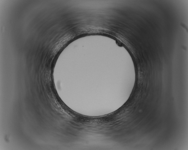 X0000100850485200807181100