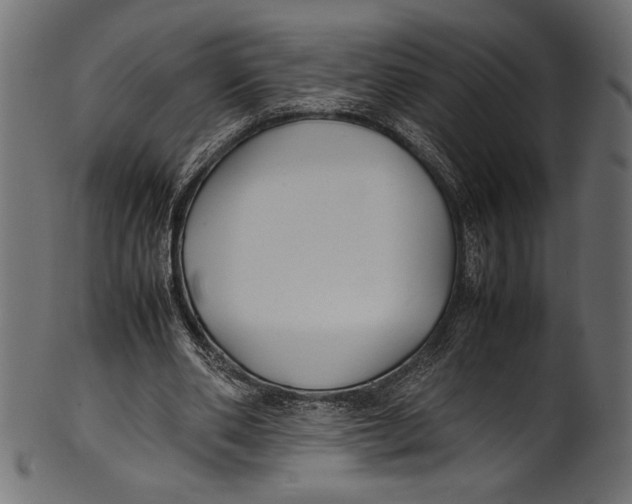 X0000100850486200807181100
