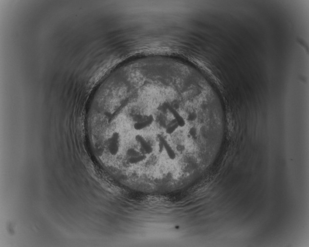 X0000100850487200807181100