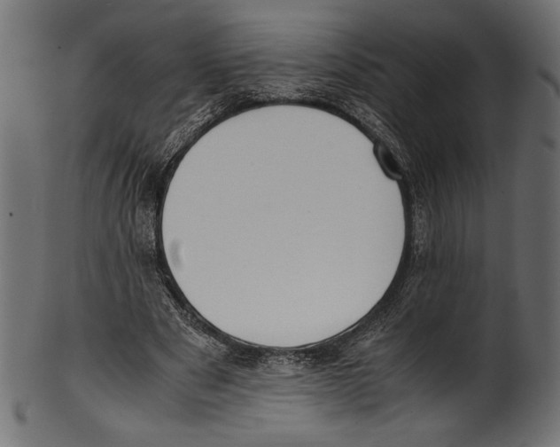 X0000100850489200807181100