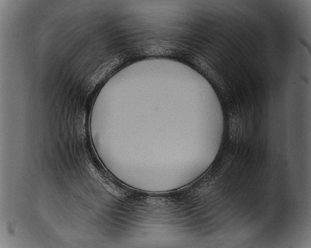 X0000100850490200807181100