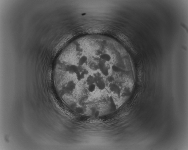 X0000100850491200807181100