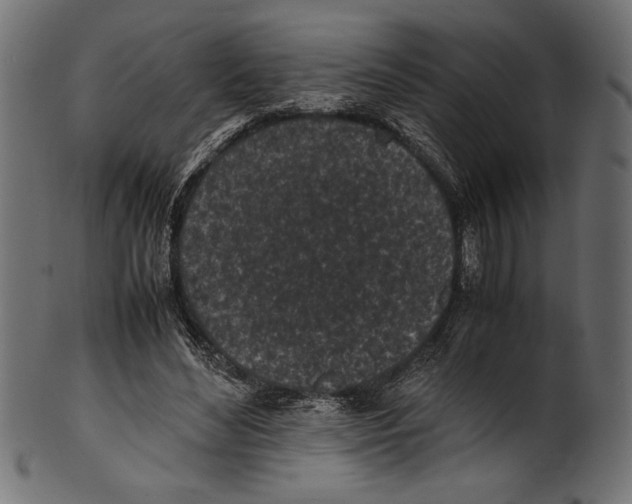 X0000100850492200807181100