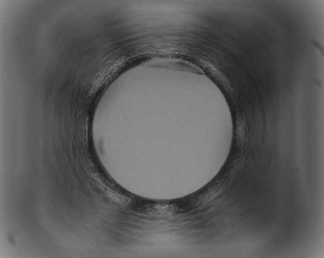 X0000100850493200807181100