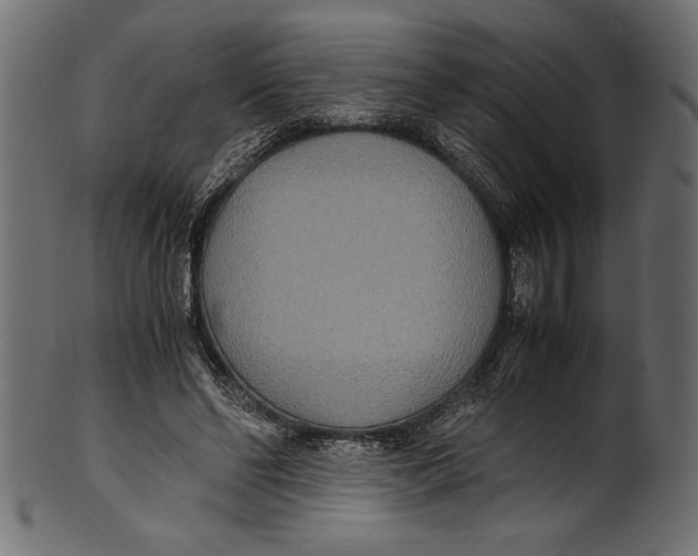 X0000100850494200807181100