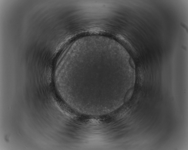 X0000100850496200807181059