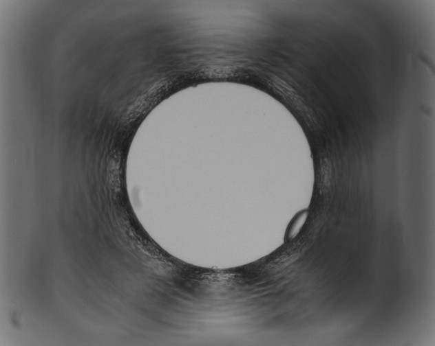 X0000100850497200807181059