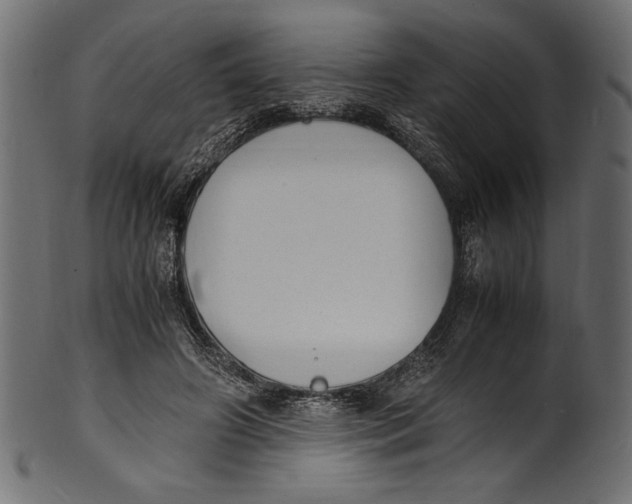 X0000100850498200807181059