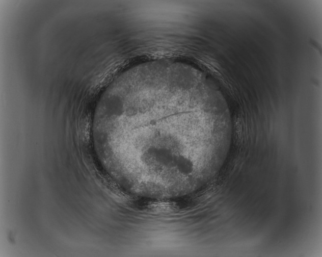 X0000100850499200807181059