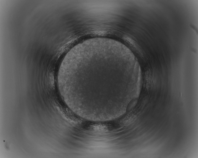 X0000100850500200807181059