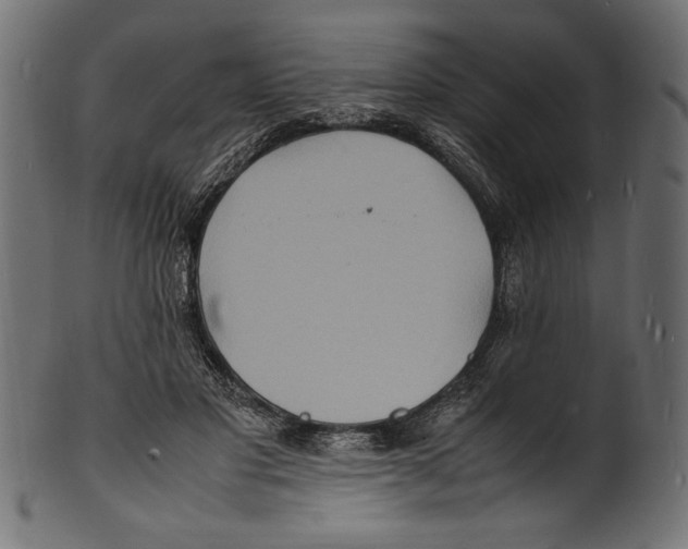 X0000100850501200807181059