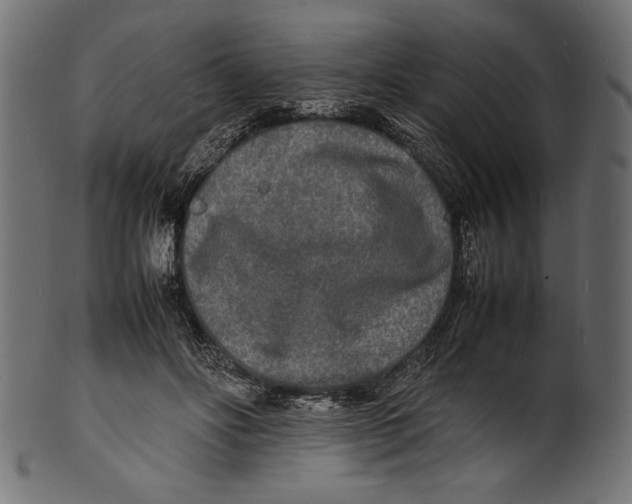 X0000100850502200807181059