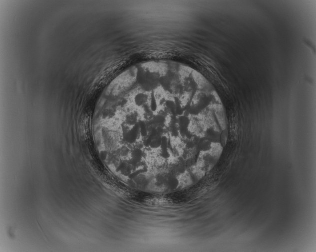 X0000100850503200807181059