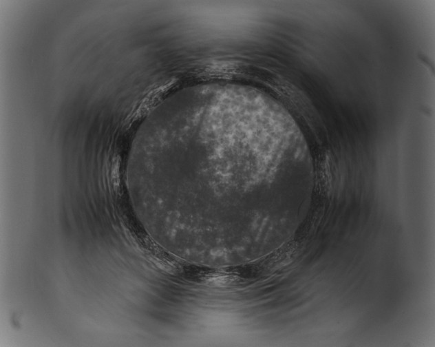 X0000100850504200807181059