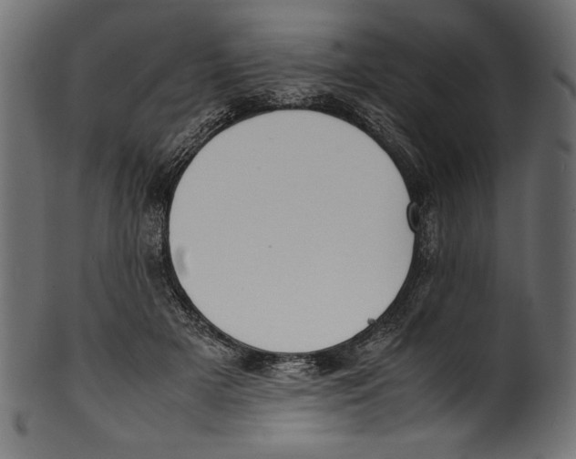X0000100850505200807181059