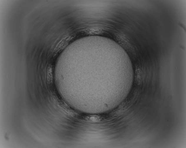 X0000100850506200807181059