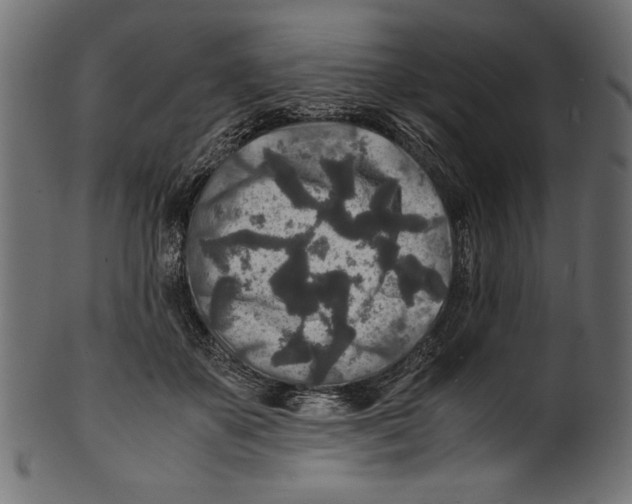 X0000100850507200807181059