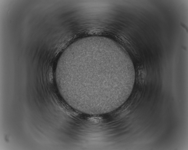 X0000100850508200807181059