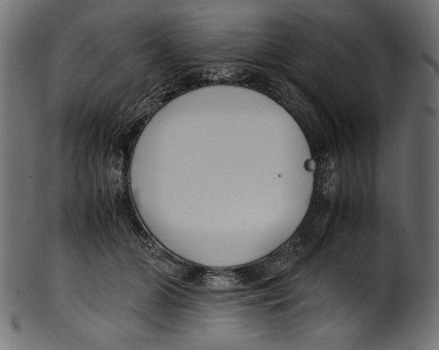 X0000100850510200807181059