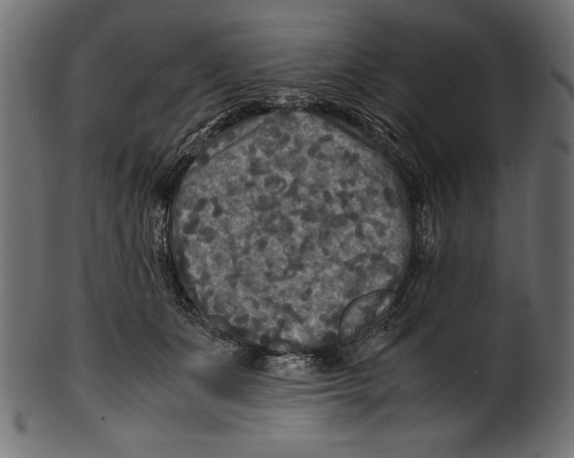 X0000100850511200807181059