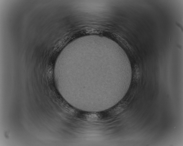 X0000100850513200807181059